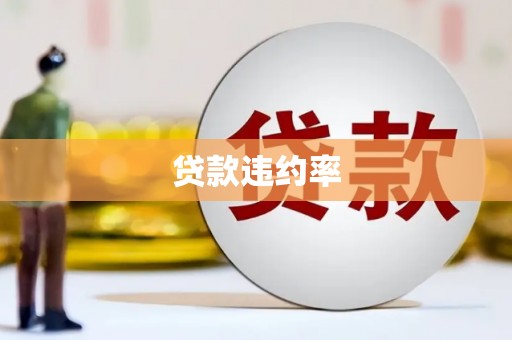 河曲贷款违约率