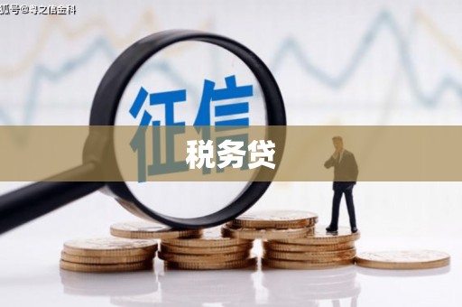 河曲税务贷
