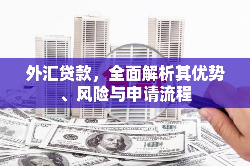 河曲外汇贷款，全面解析其优势、风险与申请流程