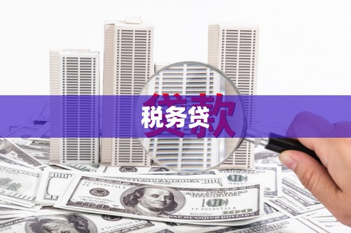 河曲税务贷