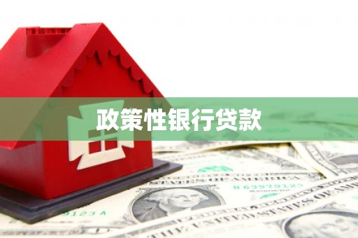 河曲政策性银行贷款