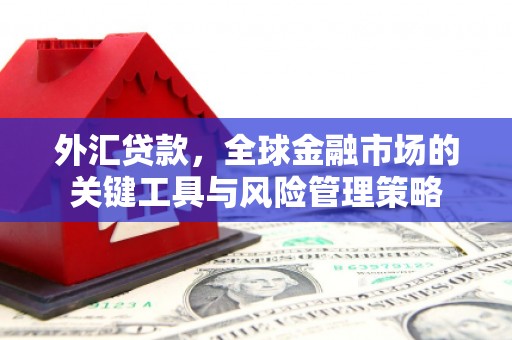 河曲外汇贷款，全球金融市场的关键工具与风险管理策略