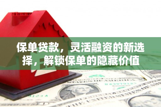 河曲保单贷款，灵活融资的新选择，解锁保单的隐藏价值