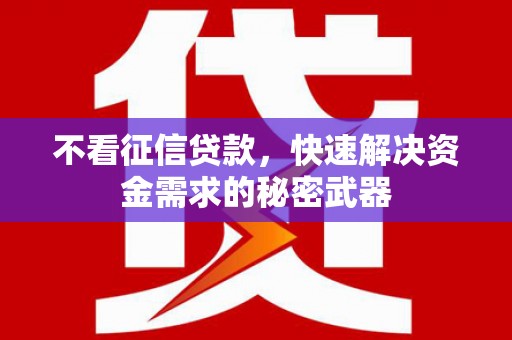 河曲不看征信贷款，快速解决资金需求的秘密武器