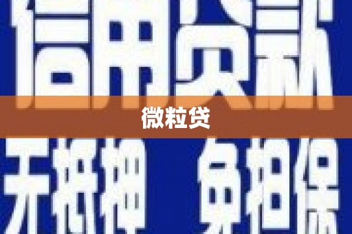 河曲微粒贷