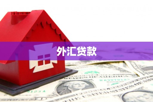 河曲外汇贷款