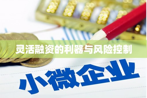 河曲灵活融资的利器与风险控制