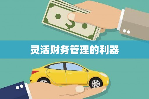 河曲灵活财务管理的利器