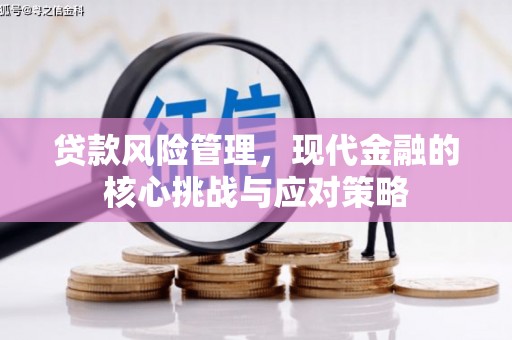 河曲贷款风险管理，现代金融的核心挑战与应对策略
