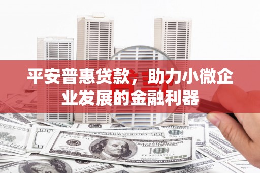 河曲平安普惠贷款，助力小微企业发展的金融利器