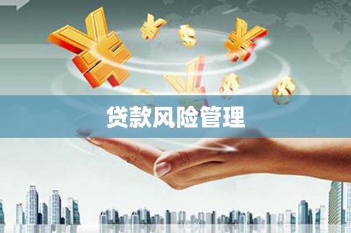 河曲贷款风险管理