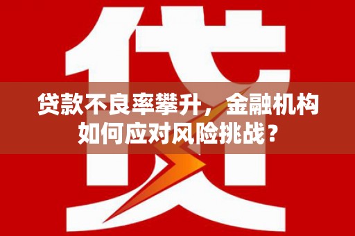 河曲贷款不良率攀升，金融机构如何应对风险挑战？