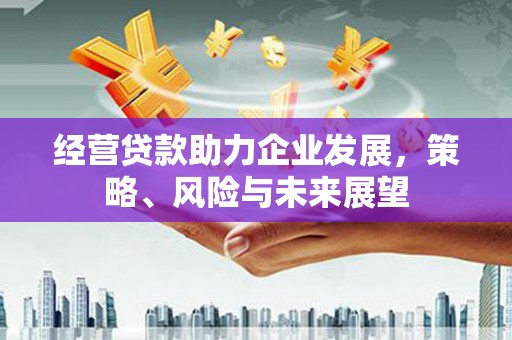 河曲经营贷款助力企业发展，策略、风险与未来展望