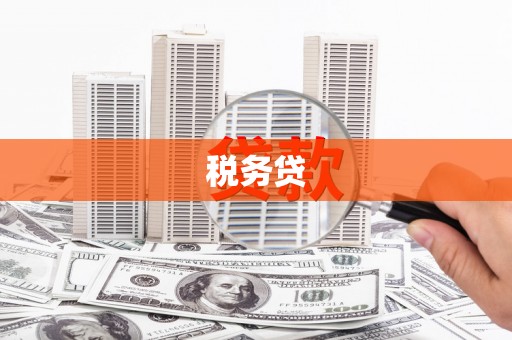 河曲税务贷