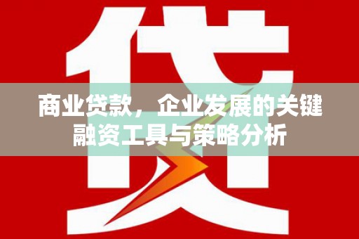 河曲商业贷款，企业发展的关键融资工具与策略分析
