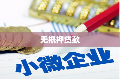 河曲无抵押贷款