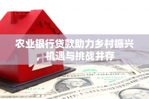 河曲农业银行贷款助力乡村振兴，机遇与挑战并存