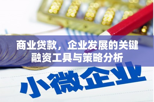 河曲商业贷款，企业发展的关键融资工具与策略分析