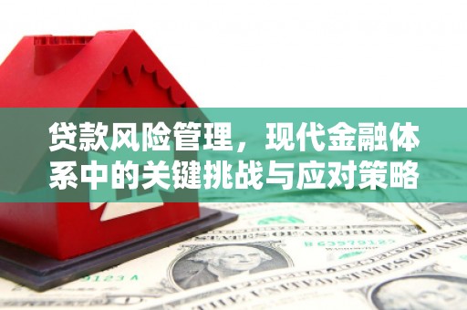河曲贷款风险管理，现代金融体系中的关键挑战与应对策略