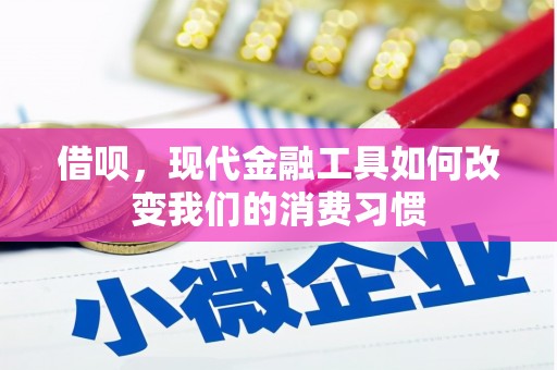 河曲借呗，现代金融工具如何改变我们的消费习惯