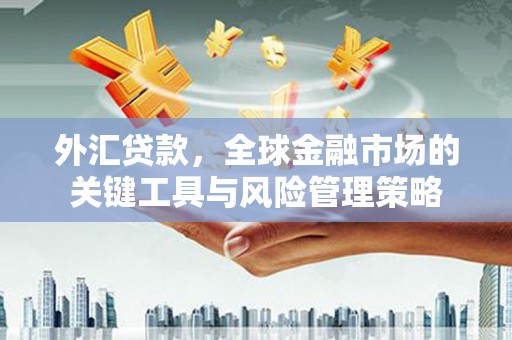 河曲外汇贷款，全球金融市场的关键工具与风险管理策略