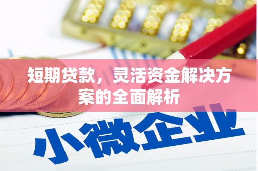 河曲短期贷款，灵活资金解决方案的全面解析