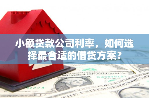 河曲小额贷款公司利率，如何选择最合适的借贷方案？