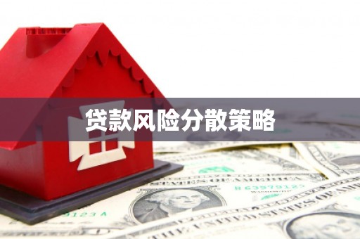 河曲贷款风险分散策略