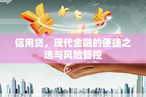河曲信用贷，现代金融的便捷之选与风险管控
