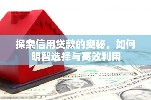 河曲探索信用贷款的奥秘，如何明智选择与高效利用