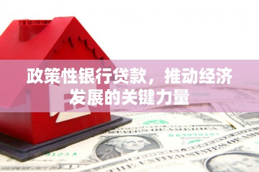 河曲政策性银行贷款，推动经济发展的关键力量