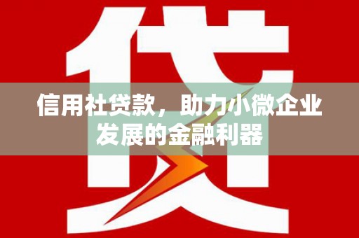 河曲信用社贷款，助力小微企业发展的金融利器