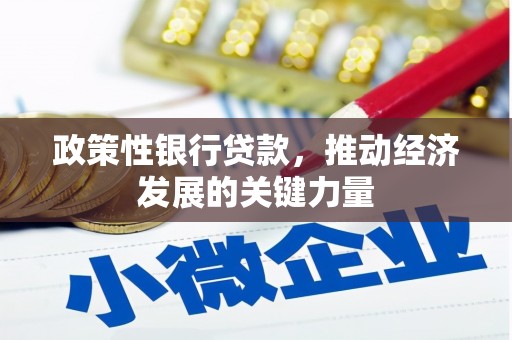 河曲政策性银行贷款，推动经济发展的关键力量