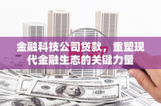 河曲金融科技公司贷款，重塑现代金融生态的关键力量