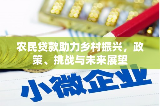 河曲农民贷款助力乡村振兴，政策、挑战与未来展望