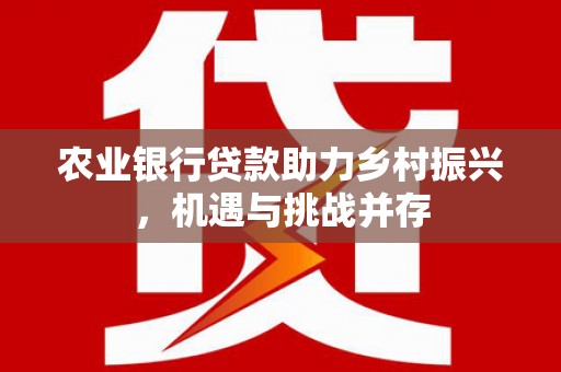 河曲农业银行贷款助力乡村振兴，机遇与挑战并存