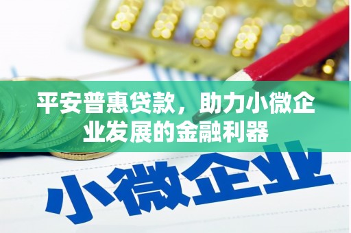 河曲平安普惠贷款，助力小微企业发展的金融利器