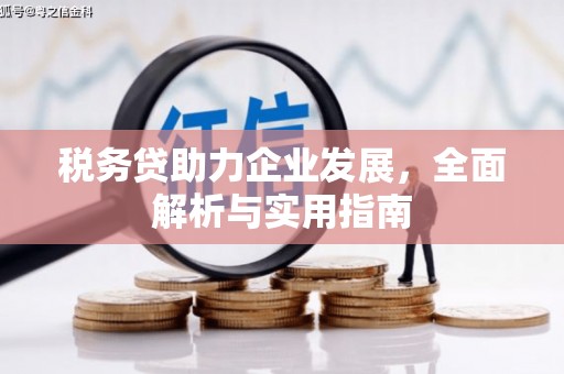 河曲税务贷助力企业发展，全面解析与实用指南
