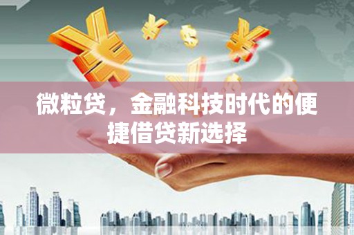 河曲微粒贷，金融科技时代的便捷借贷新选择