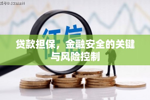 河曲贷款担保，金融安全的关键与风险控制