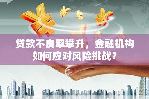 河曲贷款不良率攀升，金融机构如何应对风险挑战？