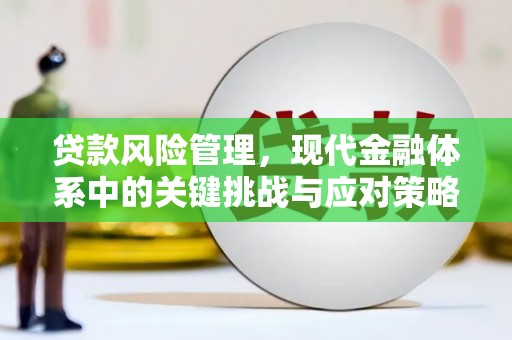河曲贷款风险管理，现代金融体系中的关键挑战与应对策略