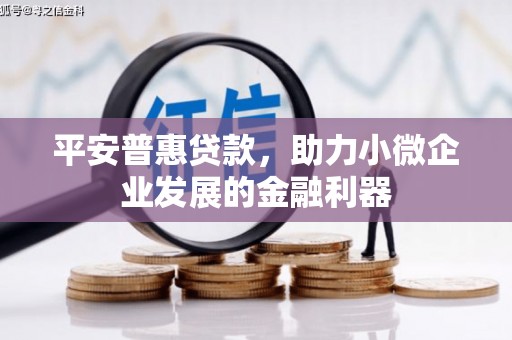 河曲平安普惠贷款，助力小微企业发展的金融利器