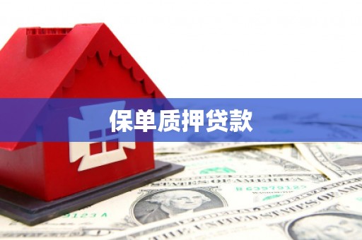 河曲保单质押贷款