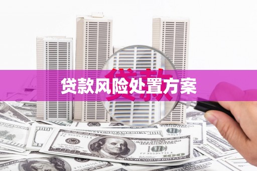 河曲贷款风险处置方案