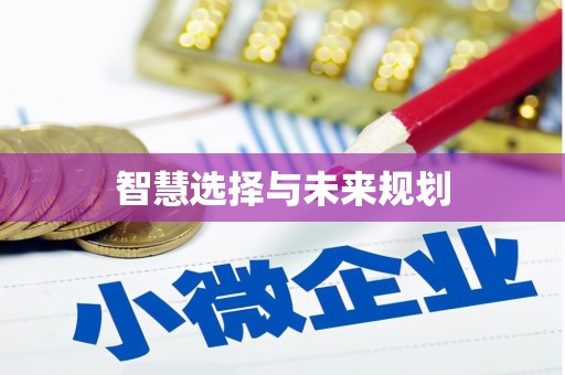 河曲智慧选择与未来规划