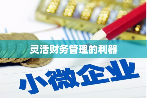 河曲灵活财务管理的利器