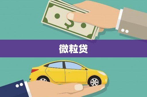 河曲微粒贷