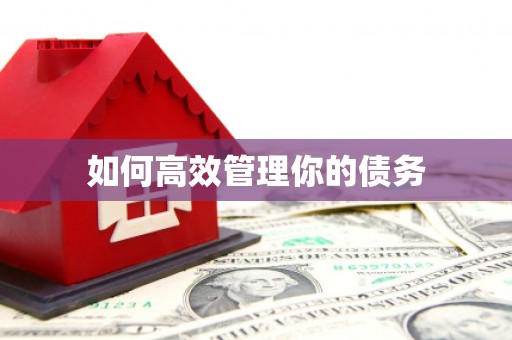 河曲如何高效管理你的债务