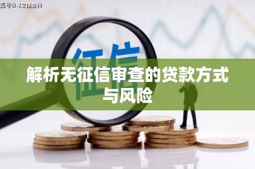 河曲解析无征信审查的贷款方式与风险